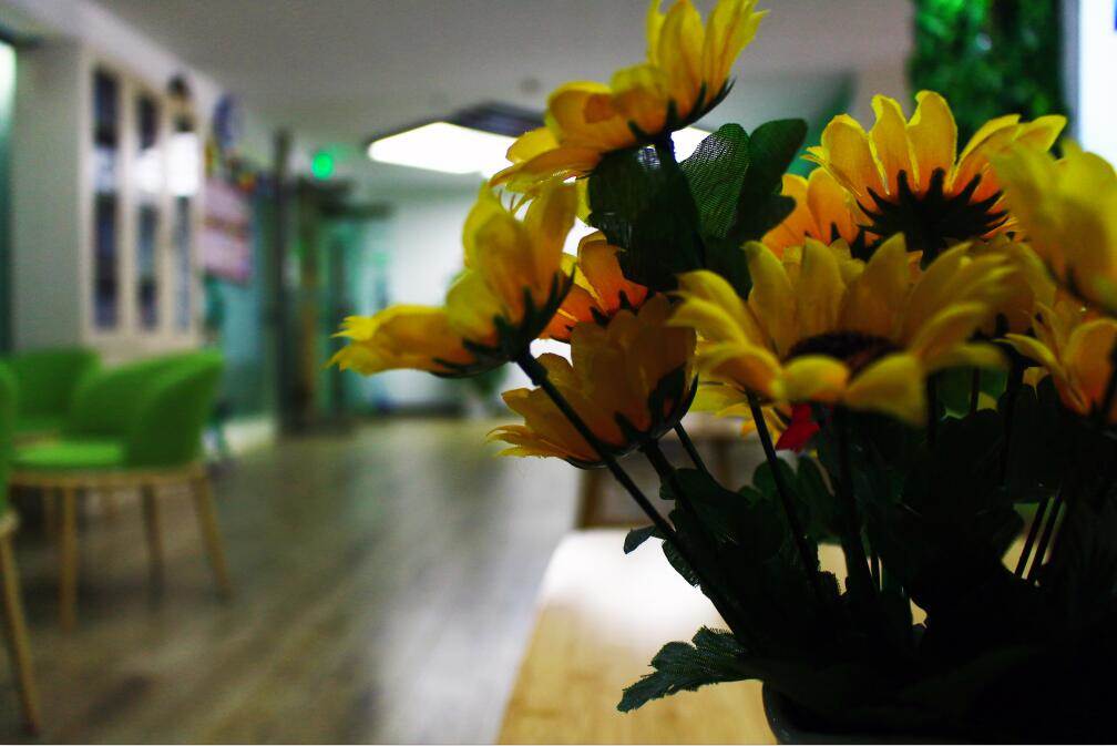 ��ѧӢ��ǳ�������Ӣ������γɵķ����������ģ���ѵ�����Ǽ�רҵ���������г���Ӣ����ѵ��